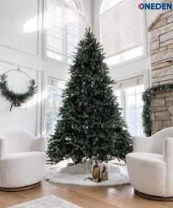 king fraser fir king of christmas