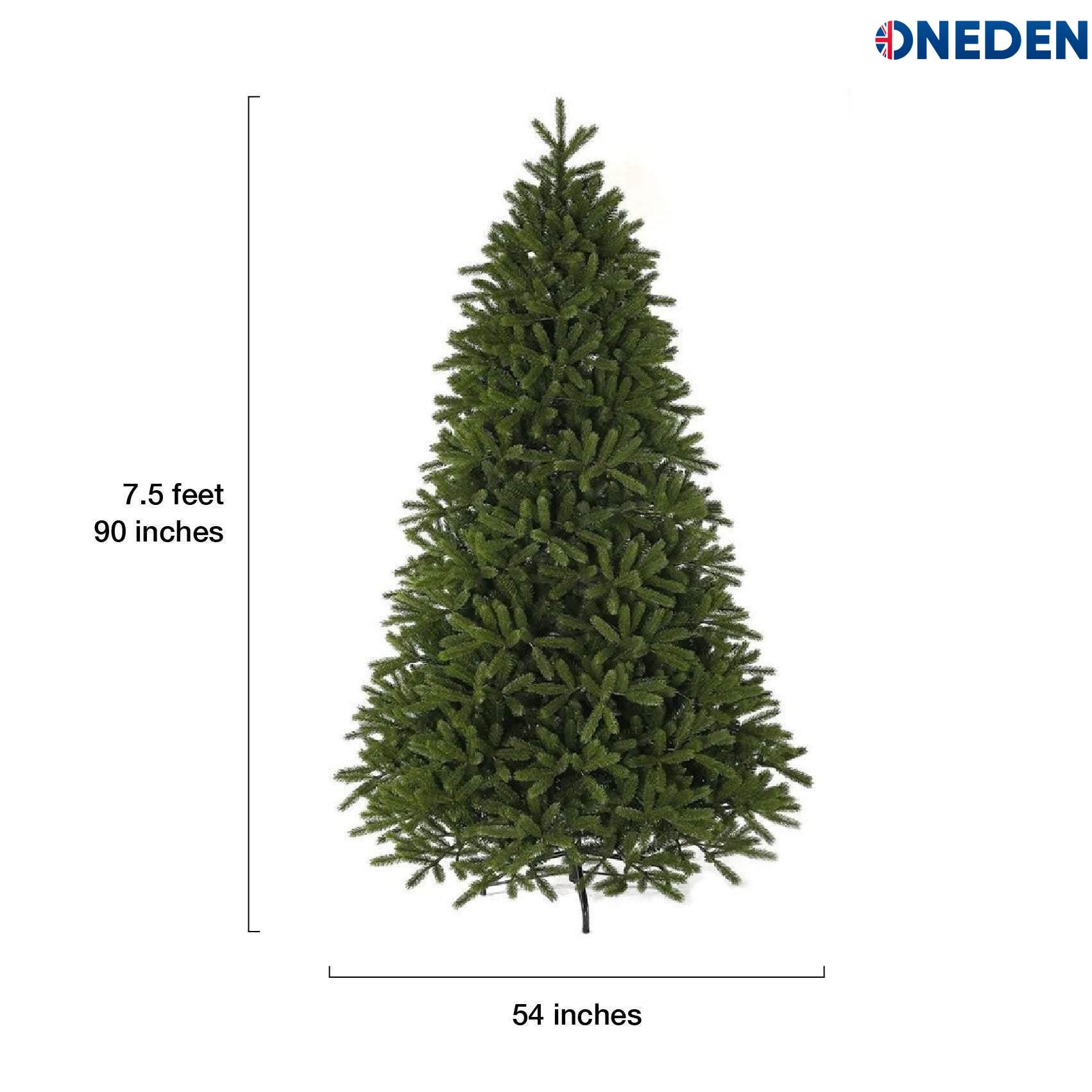 king fraser king fraser