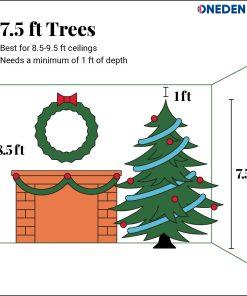 tree dimensions
